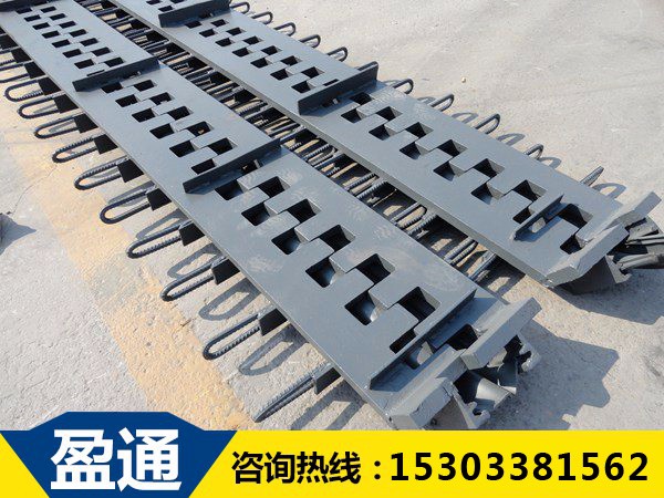 安泽SSF桥梁伸缩装置