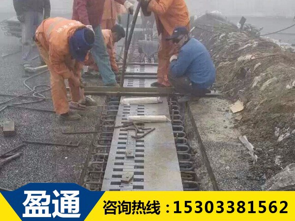 安泽SF梳齿板式伸缩装置