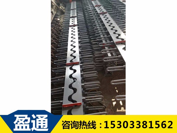 安泽SSF桥梁伸缩装置