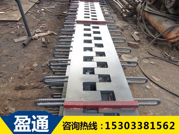 安泽SSF桥梁伸缩装置