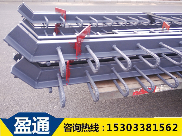 E型钢伸缩缝厂家